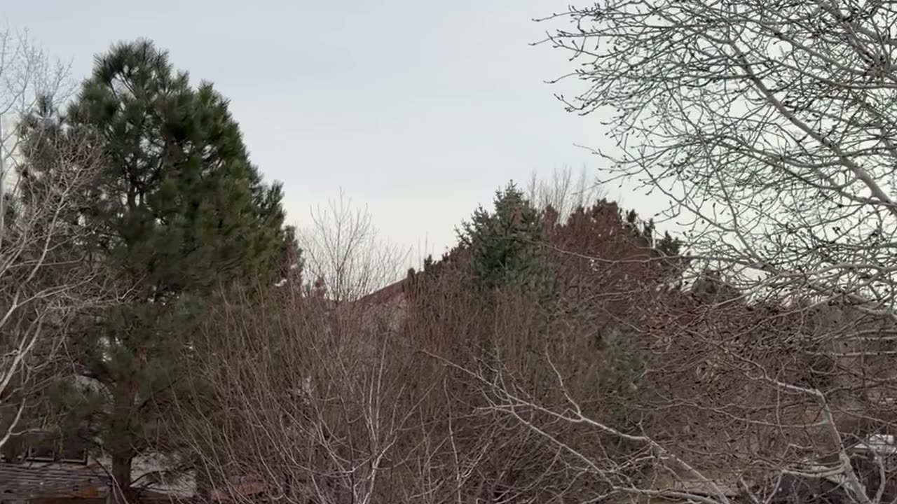 Very nice day outside (1/1/2026)