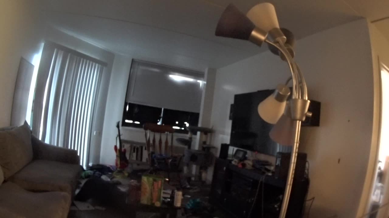 Taping the exterminators