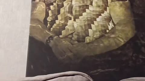 Okki durham Tiktok 15-01-2026