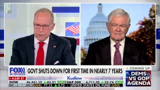 Newt Gingrich Explains Democrats' Biggest Strategic Blunder During Shutdown