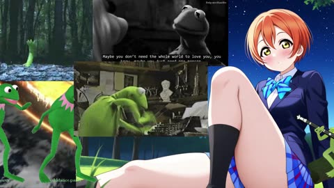 Florida Belles by S. Gibson Cooke