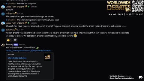 0152 WIDESTREAM - Worldwide Debates - YouTube/Twitch/Rumble