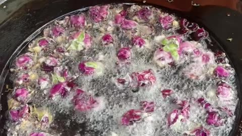 Trending Rose Fry 🌹