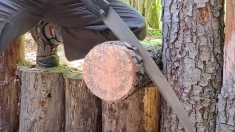 Building a Сozy Shelter Under an Oak Root. Survival, Bushcraft - Polissya Bushcraft