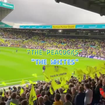 Leeds United FC (The Peacocks - The Whites)