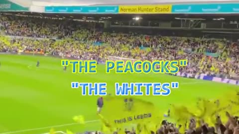 Leeds United FC (The Peacocks - The Whites)