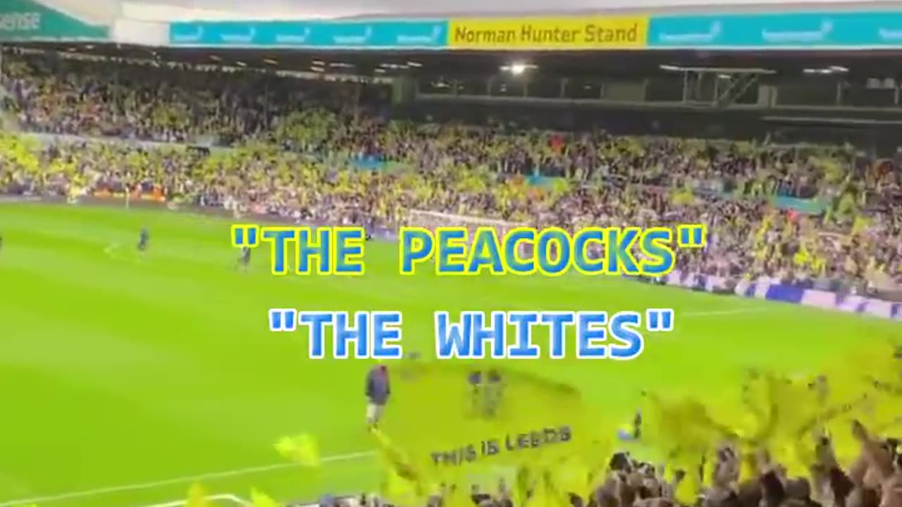 Leeds United FC (The Peacocks - The Whites)