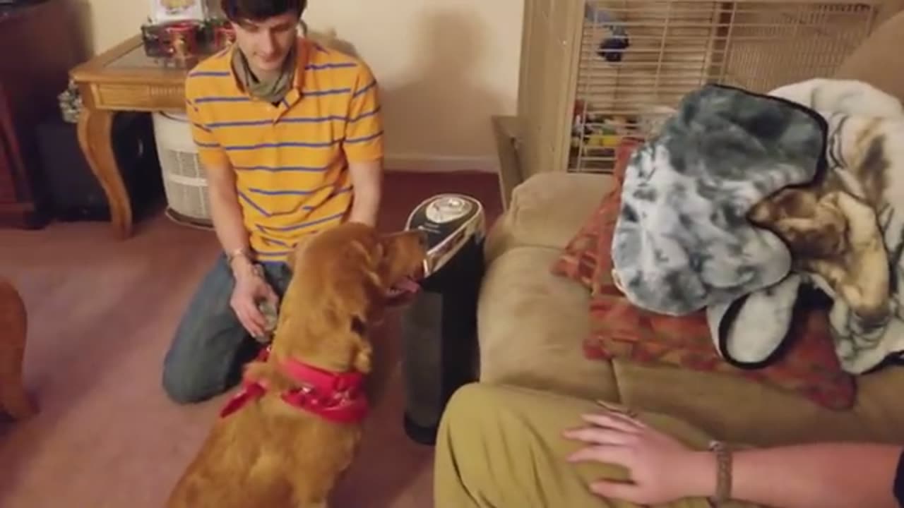 Christmas Morning, Onni, Puppies ... and Chet Happened