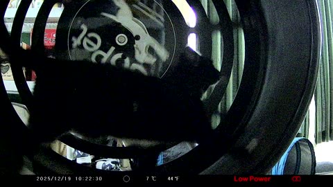 Cookie Cutter The Cat In Go Pet Exercise Wheel, Filmed By KJK JDL201, Dbn, MI, Dec. 19 To 23, 2025