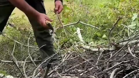 Survival Cooking in the Snowy Forest