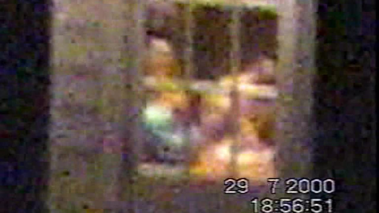 Jefferson Airplane White Rabbit