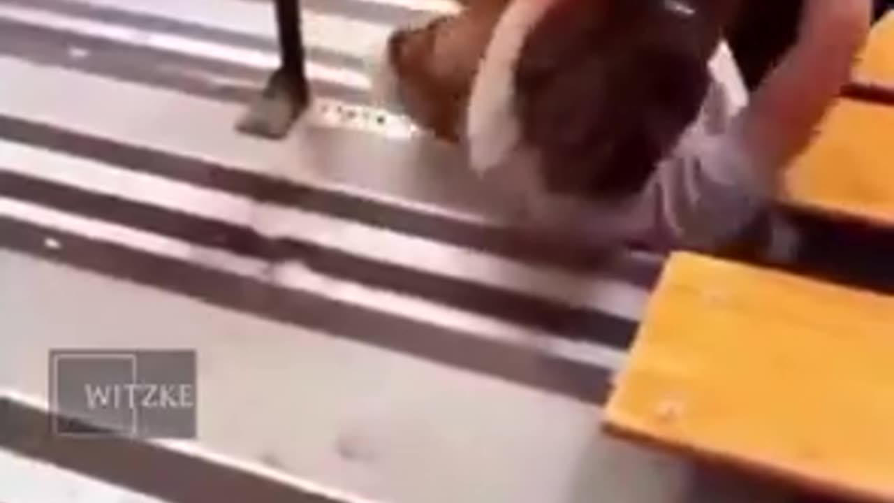 Warning to White Parents Blacks Will Beat Abuse Attack and Kill Your Children in School