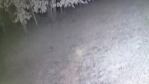 😱👽 UAP, Orbs, or Eye Shine? The Truth Revealed! | TheHauntingHour