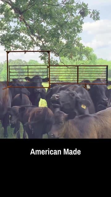 Freestanding Bow Gate Panel