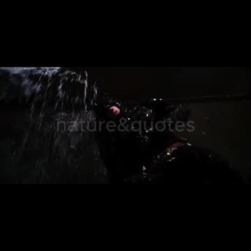 Bane and batman brutal fight