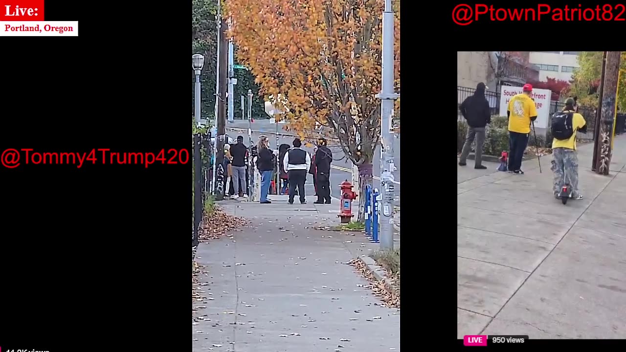 Furry Hormones, still a trans!