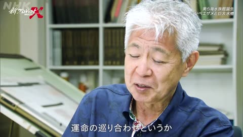 新プロジェクトX ～挑戦者たち～ 美ら海水族館誕生 ～ジンベエザメと巨大水槽～