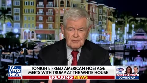 Newt Gingrich: Democrats are watching this 'with terror'