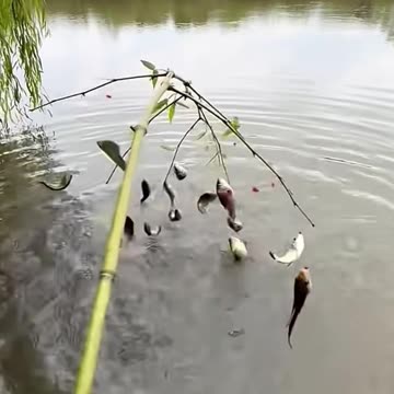 Unique Fishing