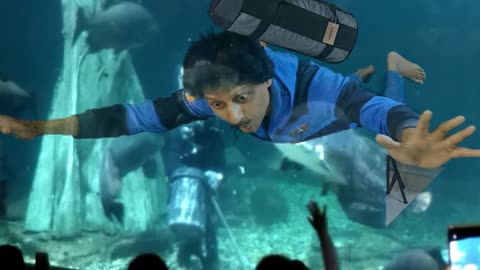 Magic Dekho-38-Flying4-Aquarium