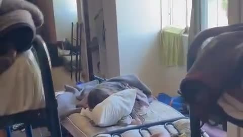 Folding Bunk Bed Collapses While Occupied