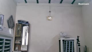 irl live stream
