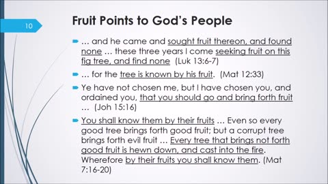 PARABLE OF THE FIG TREE