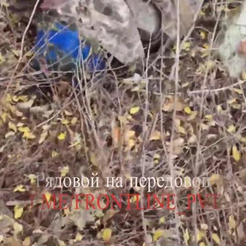 They were sent to Bandera by our fighters.