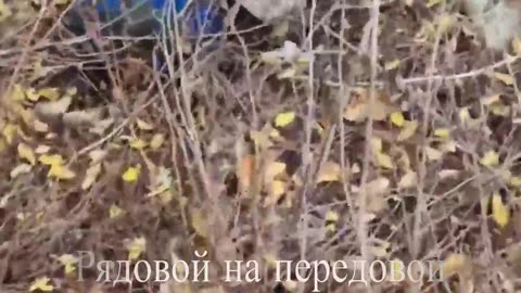 They were sent to Bandera by our fighters.