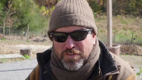 THEY ARE KILLING OUR COWS - Farmers Speak Out Over Government Mandate Killing Cattle - Yanasa TV