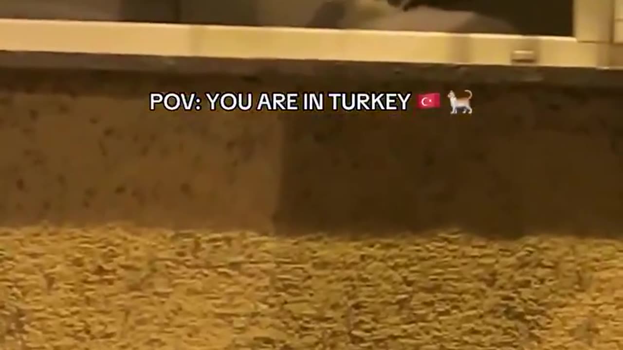 😂🤯 This Will Leave You in Stitches! Hello There... | FunFM
