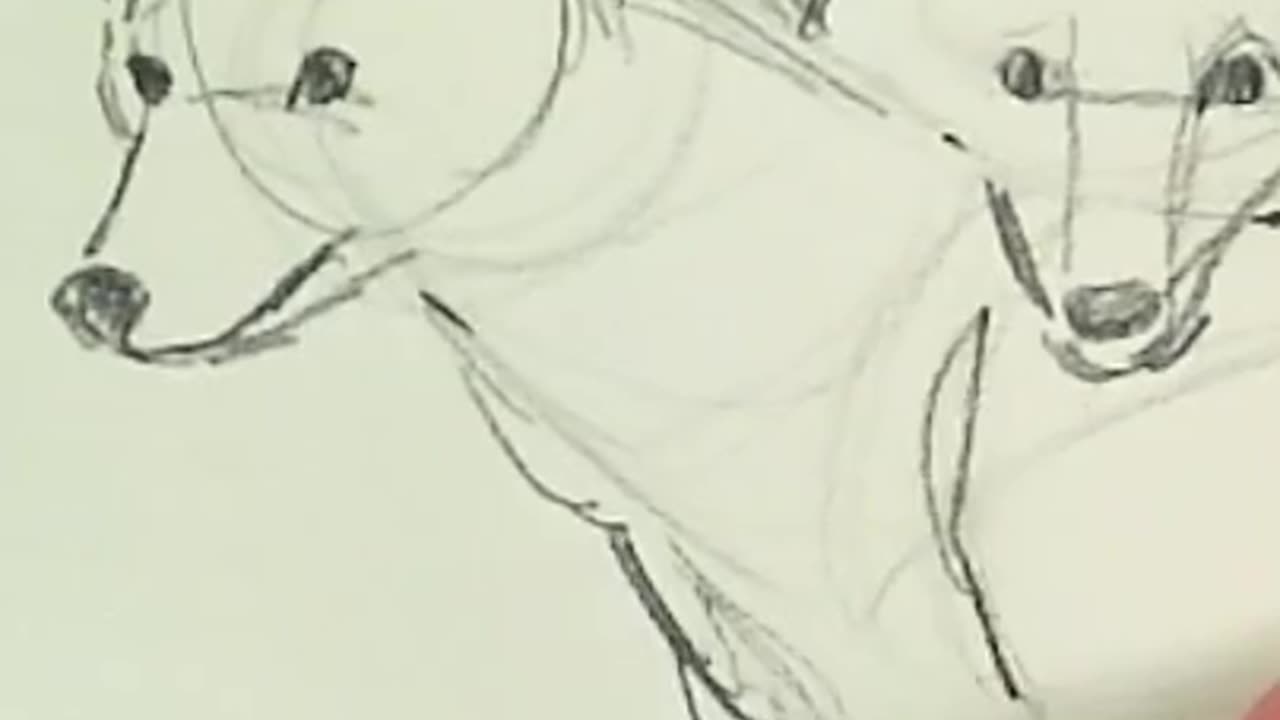 Traditional Art - Coyotes