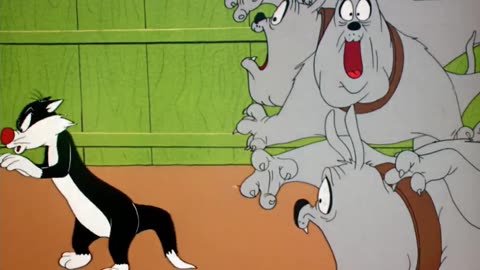 Looney Tunes Golden Collection S1954E01 Dog Pounded