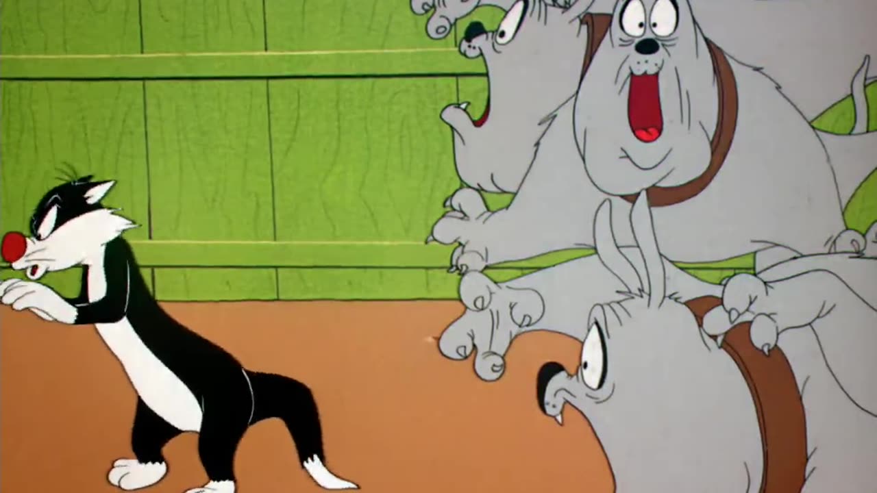 Looney Tunes Golden Collection S1954E01 Dog Pounded