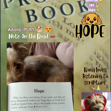 Psalm 42:11 KJV "Why art thou cast down, O my soul?..." #faith #hope #god #psalm #shortsfeed