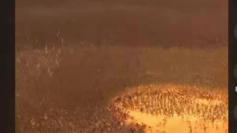 Terminator vs Spartans