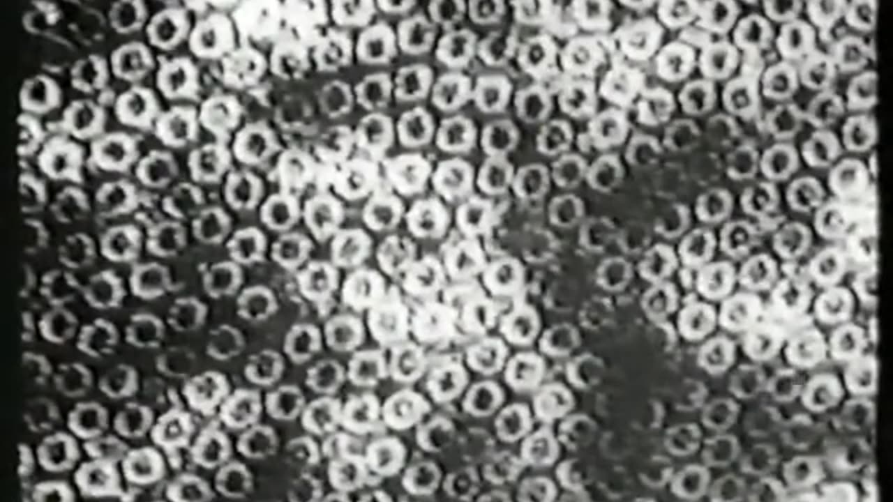 The Fine Structure of the Living Cell - Harold Hillman (1977)