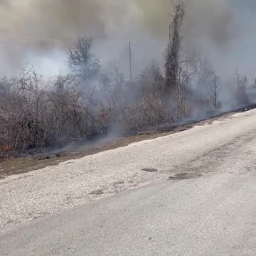 Where there smoke... you're fired #Smoke #You'reFired #Fire #YoureFired #TadpoleTriplett #Trump