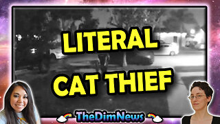 TheDimNews LIVE: Amazon Driver Allegedly Steals Woman's Cat