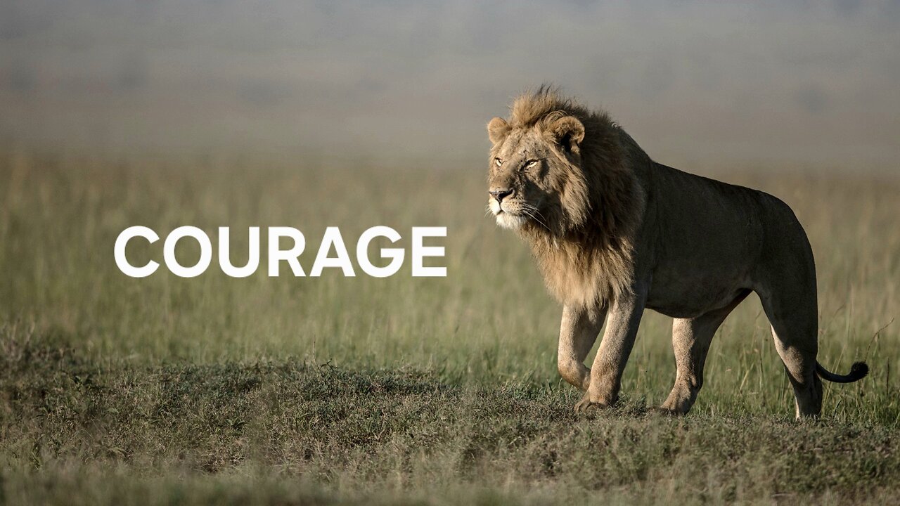 Lessons from Jude: Courage #videotional #housechurch