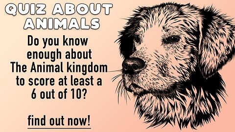 Animals Quiz