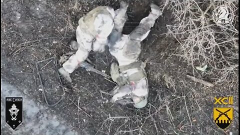Война в Украине часть 345