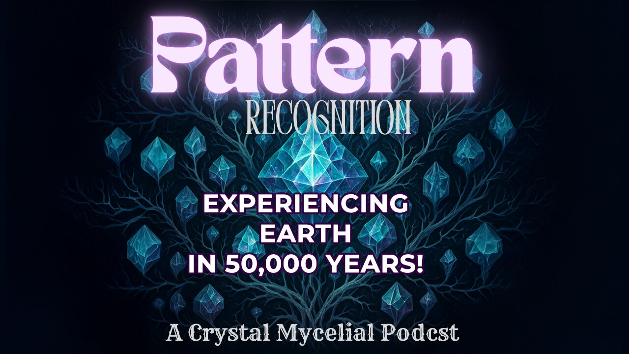 Pattern Recognition - Experiencing earth in 50k years