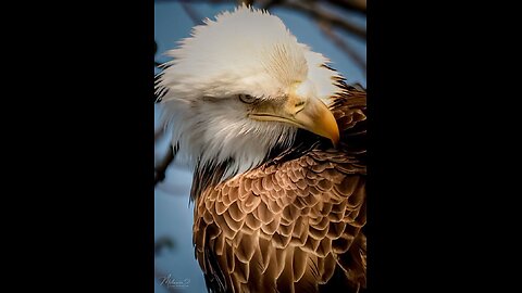 [Psychological Operation on Oral Health]