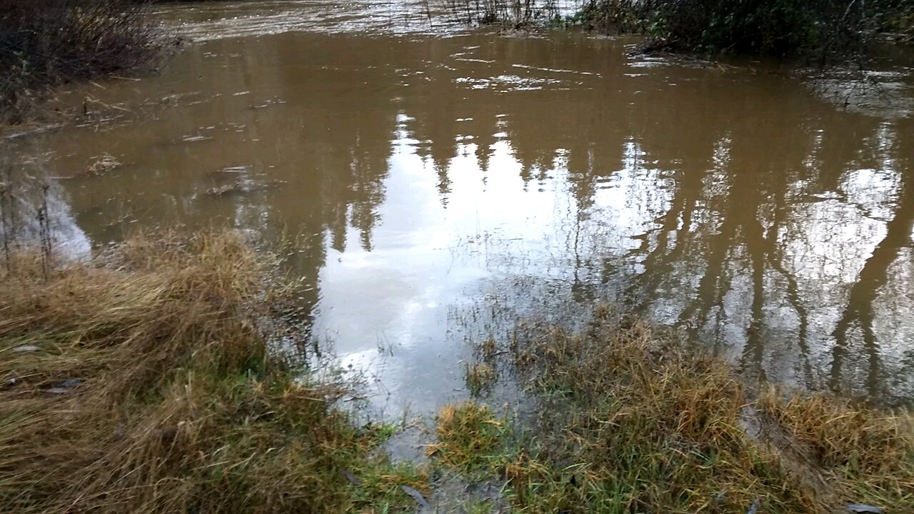 Upper Cow Creek After Storm