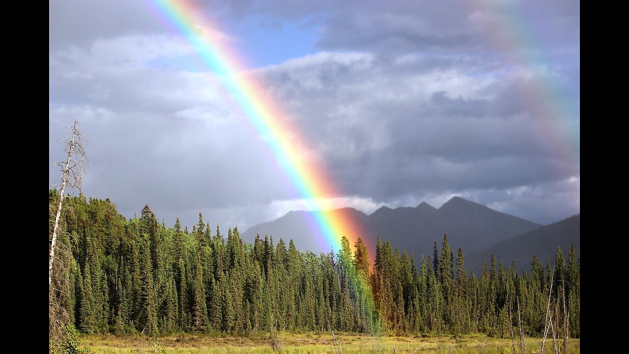 CLEAN WATER FOR THE HOPI/NAVAJO INDIANS!