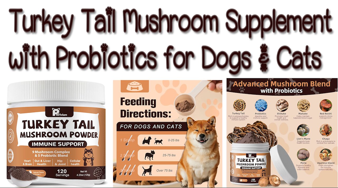 Turkey Tail Supplement for Cats and Dogs