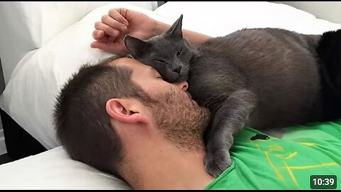 When Cats Are More Affectionate Than You Might Think😍