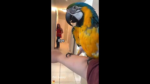 Multiple parrots range