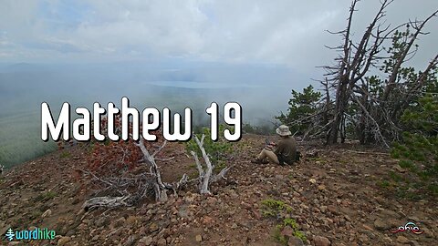 Matthew 19, Bible Reading in Nature, BSB